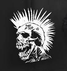 Logo of punk band The Exploited. White coloured skull with a mohawk hairstyle, painted onto a black background.